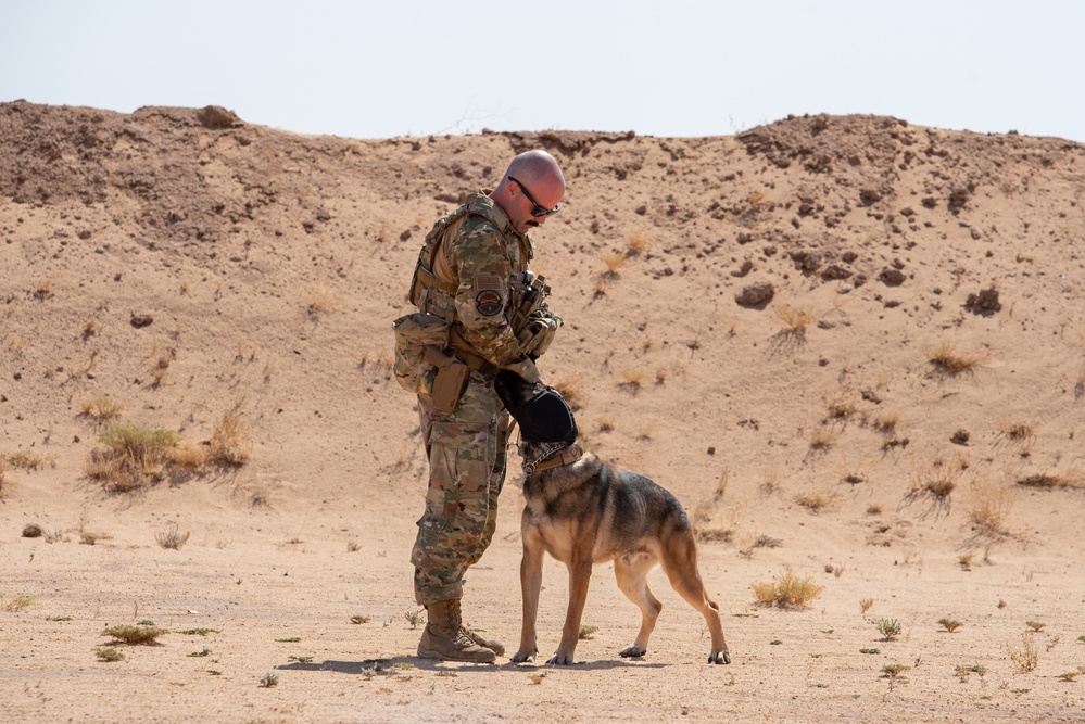 dvids-images-378th-esfs-conduct-handler-training-with-military