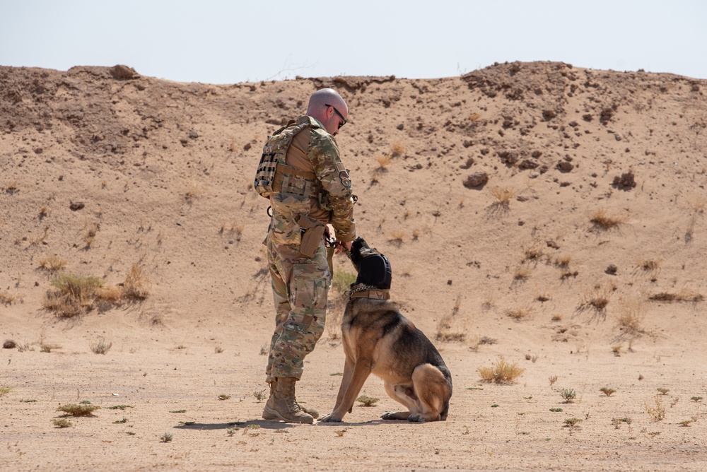 378th ESFS conduct handler training with military working dogs