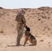 378th ESFS conduct handler training with military working dogs