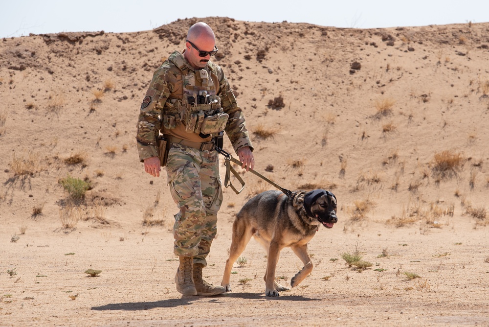 378th ESFS conduct handler training with military working dogs