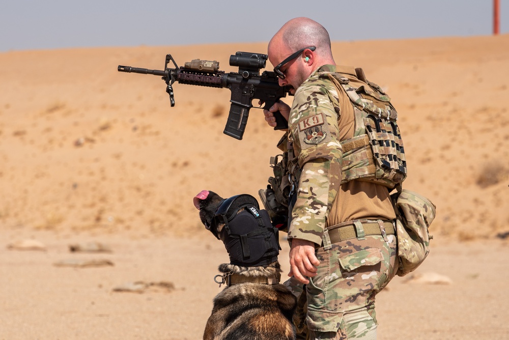 378th ESFS conduct handler training with military working dogs