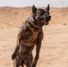 378th ESFS conduct handler training with military working dogs