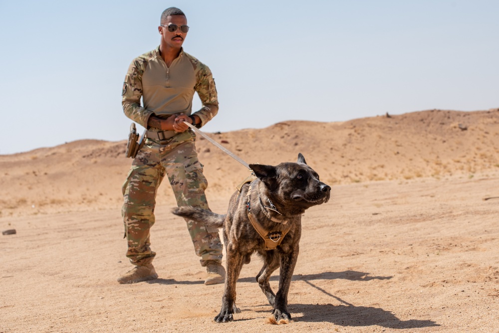 378th ESFS conduct handler training with military working dogs