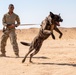 378th ESFS conduct handler training with military working dogs