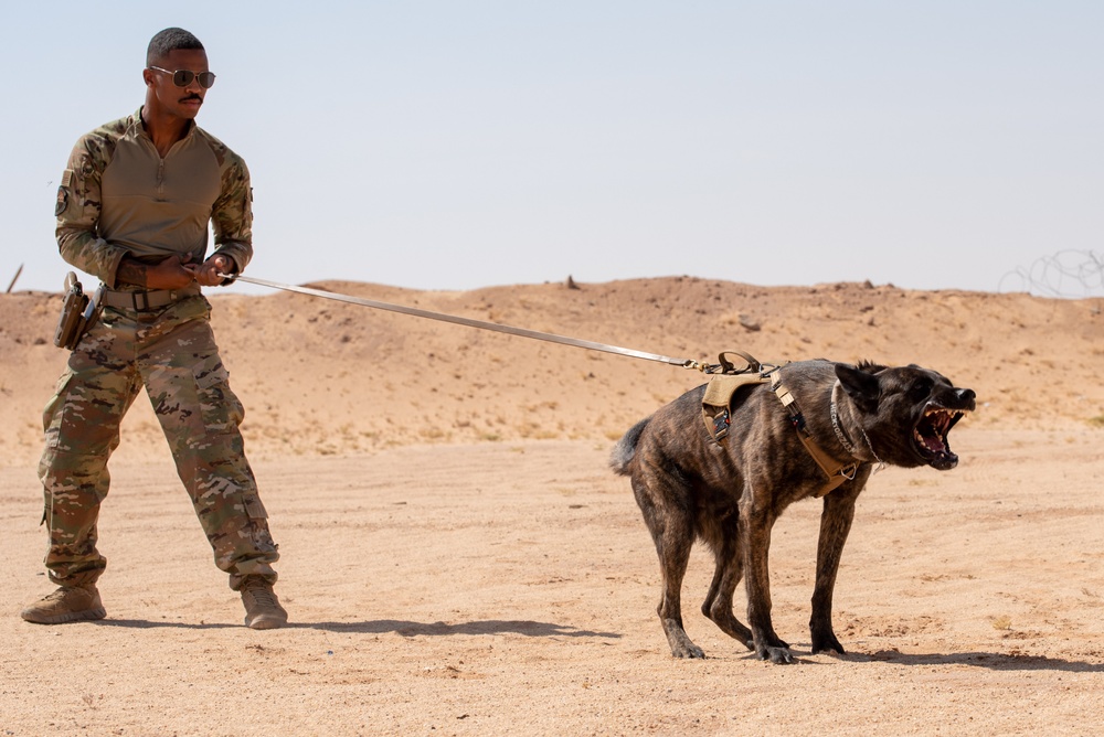 378th ESFS conduct handler training with military working dogs