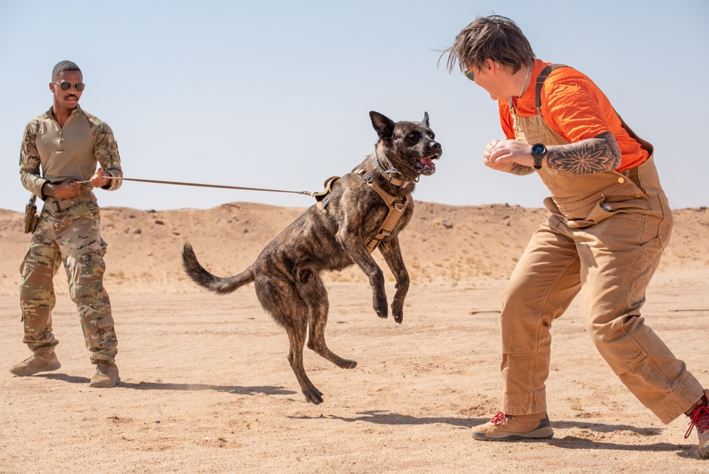 378th ESFS conduct handler training with military working dogs