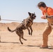 378th ESFS conduct handler training with military working dogs