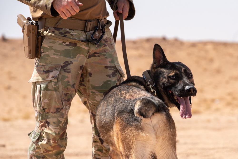 378th ESFS conduct handler training with military working dogs