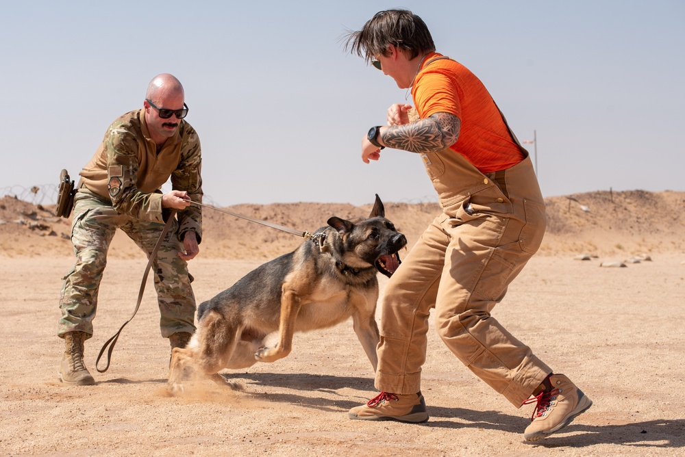 378th ESFS conduct handler training with military working dogs