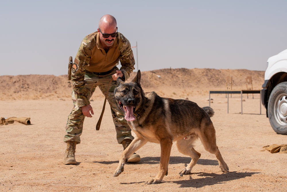 378th ESFS conduct handler training with military working dogs