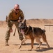 378th ESFS conduct handler training with military working dogs