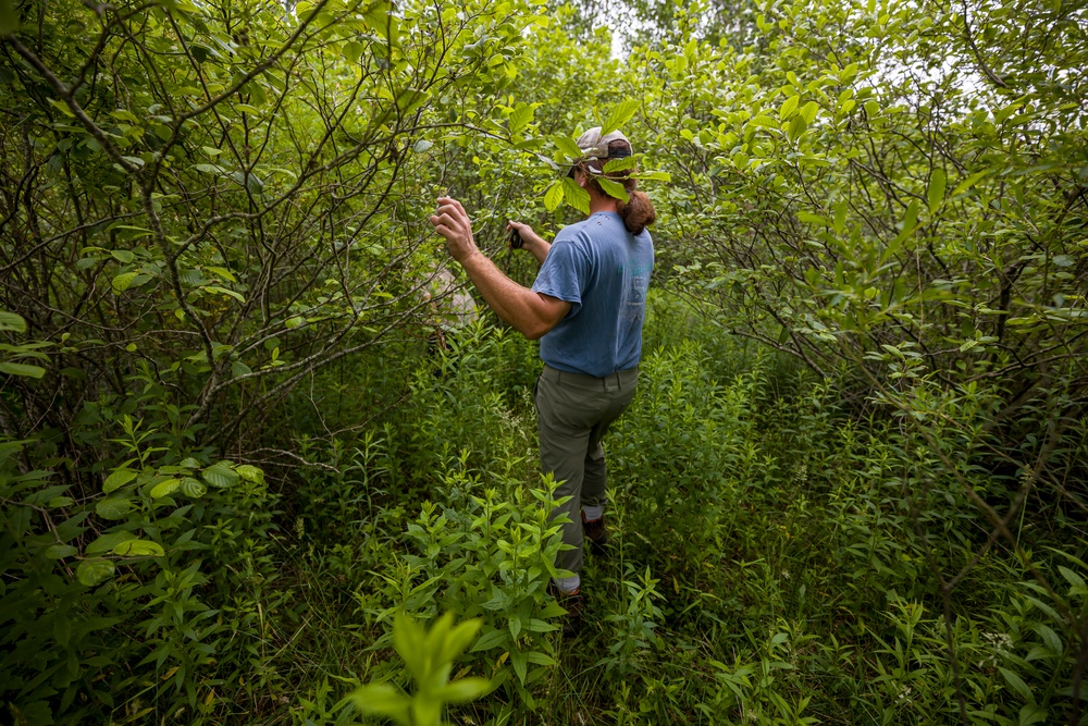 Headwaters Highlights: Regulators ‘mount up’ to defend waterways and wetlands in Pittsburgh’s watersheds