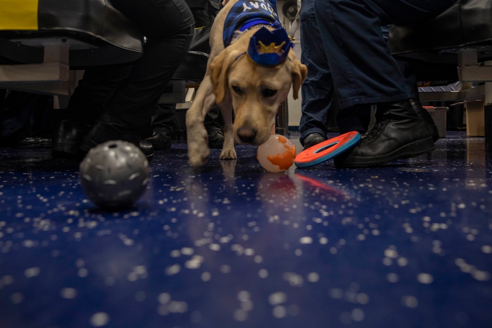 Ike celebrates his 3rd birthday