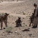 U.S. Marines conduct dry fire during intrepid 23.4