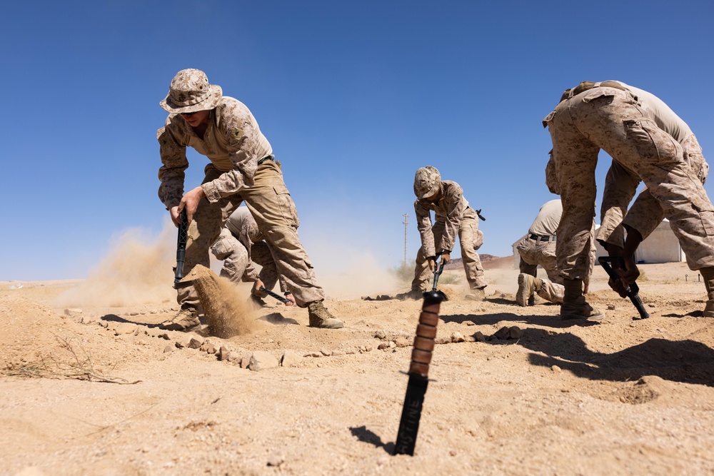 U.S. Marines conduct squad movement drills during Intrepid Maven 23.4