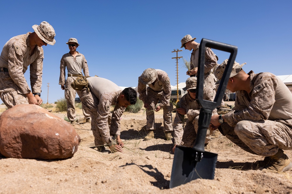 U.S. Marines conduct squad movement drills during Intrepid Maven 23.4