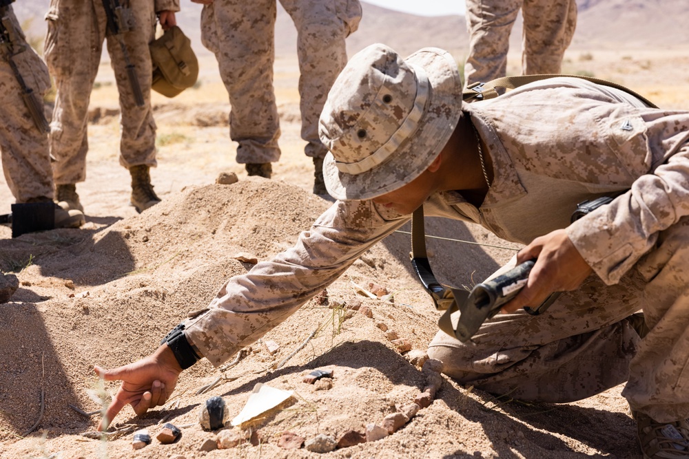 U.S. Marines conduct squad movement drills during Intrepid Maven 23.4