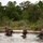 Dive Students Practice Covert Infiltration