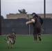 Military Working Dog Demonstration
