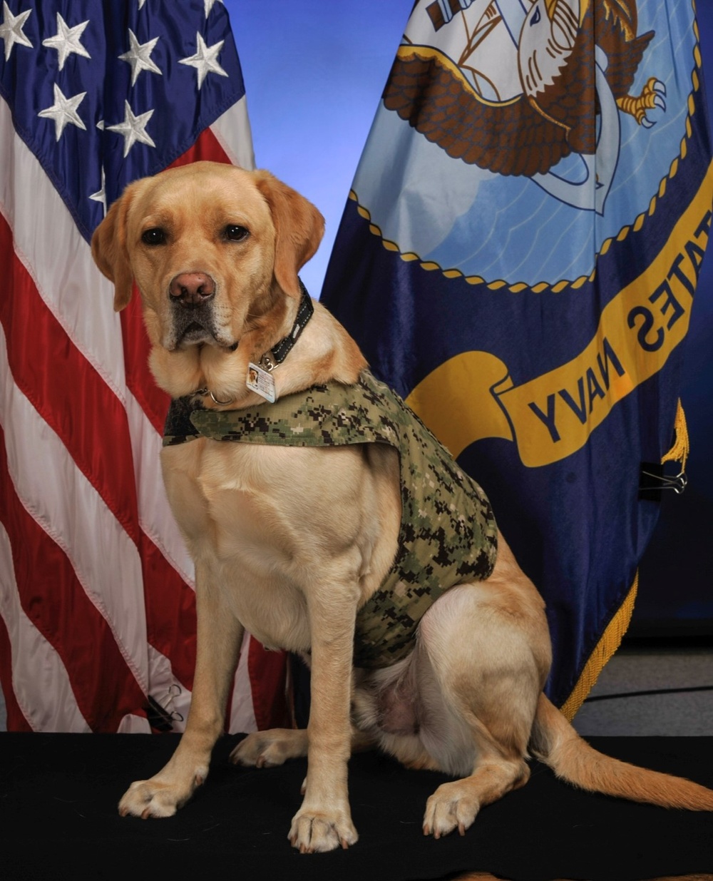 Angus Official Commissioning Photo