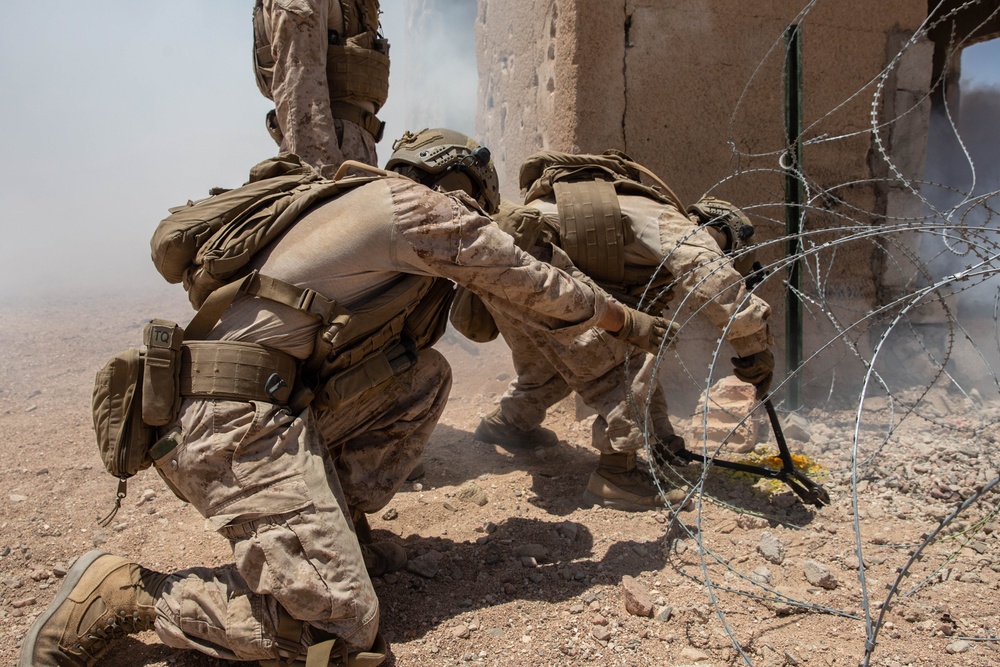 U.S. Marines conduct squad maneuver drills during Intrepid Maven 23.4