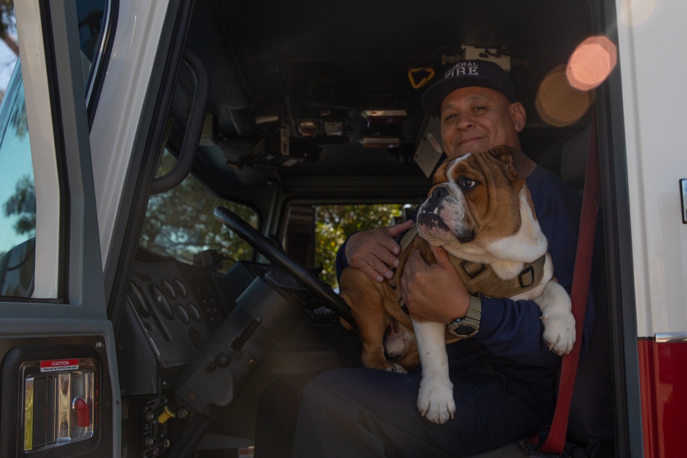 MCRD San Diego Mascot Monday