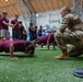 2023 Connecticut Army National Guard JROTC Physical Fitness Challenge