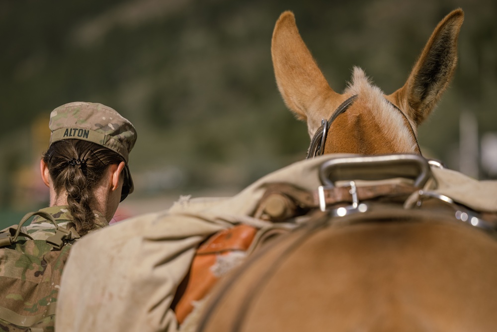 U.S. Marines from across the Corps participate in Animal Packers Course 1-23