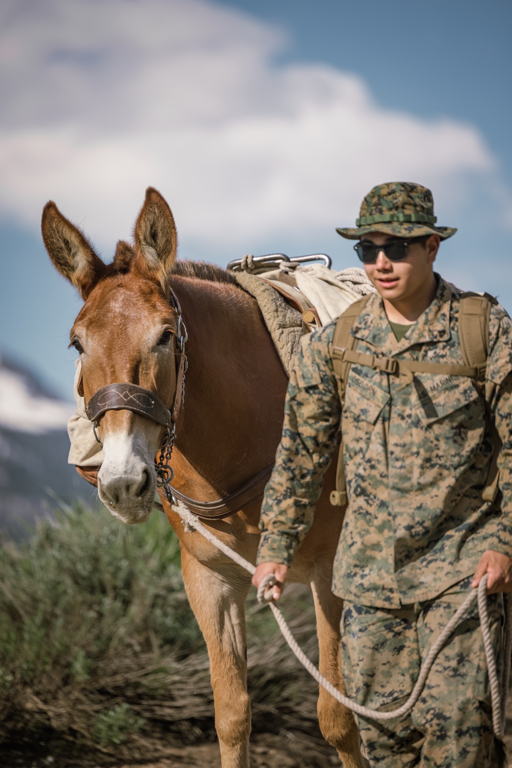 DVIDS Images U.S. Marines from across the Corps participate in