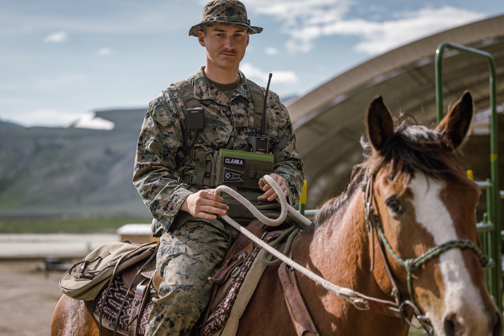 U.S. Marines from across the Corps participate in Animal Packers Course 1-23