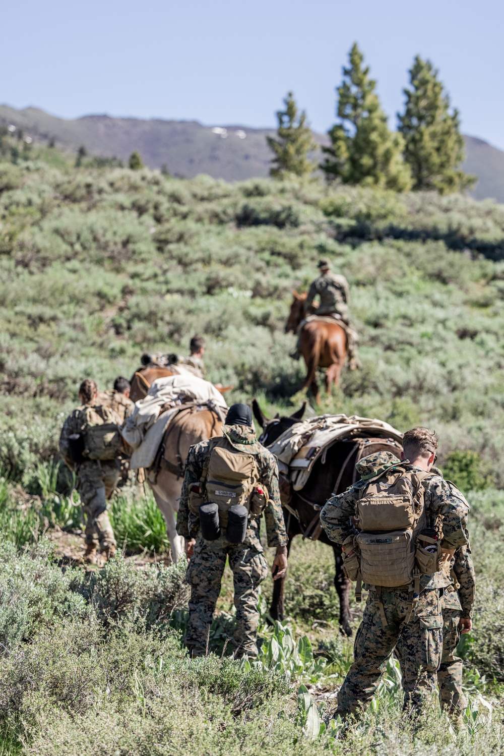 DVIDS Images U.S. Marines from across the Corps participate in