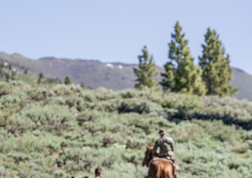 U.S. Marines from across the Corps participate in Animal Packers Course 1-23