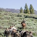 U.S. Marines from across the Corps participate in Animal Packers Course 1-23