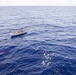 USS Ralph Johnson (DDG 114) Sailors enjoy swim call in the Philippine Sea, July 4