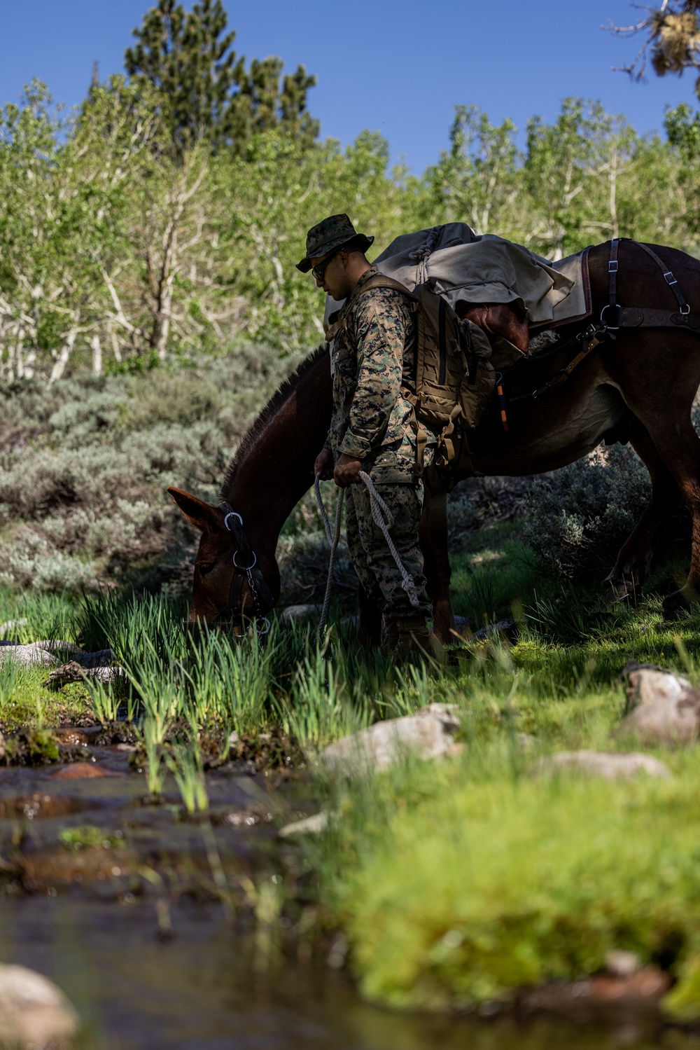 DVIDS Images U.S. Marines from across the Corps participate in