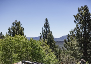 U.S. Marines from across the Corps participate in Animal Packers Course 1-23