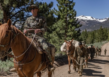 U.S. Marines from across the Corps participate in Animal Packers Course 1-23