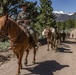 U.S. Marines from across the Corps participate in Animal Packers Course 1-23