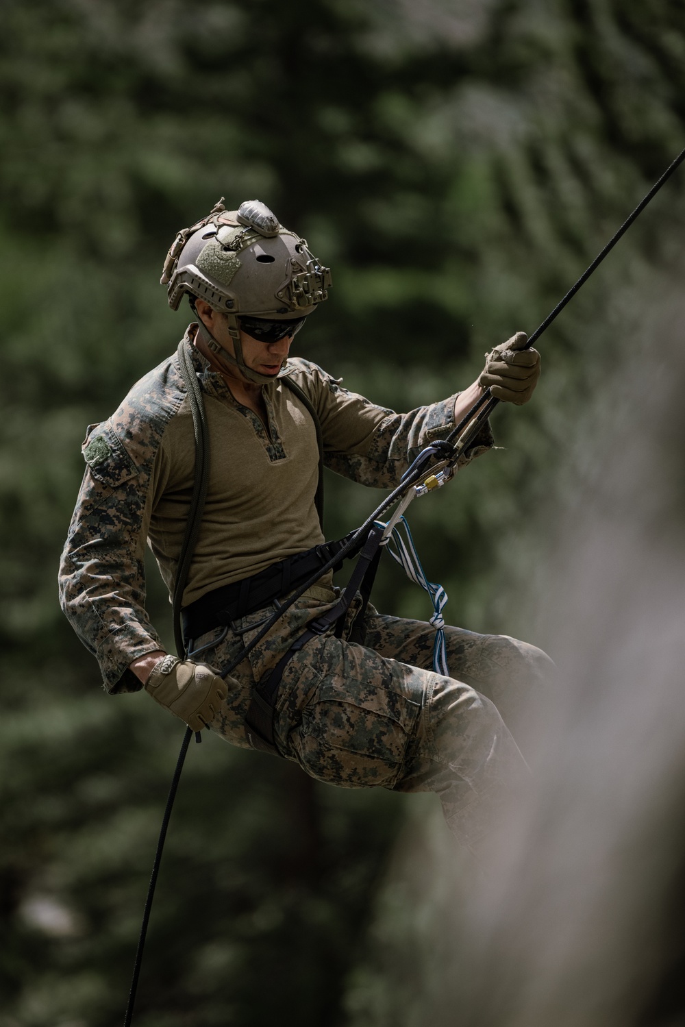 U.S. Marines with 4th Marine Division conduct ropes and rappelling training during Mountain Warfare Training Exercise 4-23