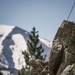 U.S. Marines with 4th Marine Division conduct ropes and rappelling training during Mountain Warfare Training Exercise 4-23