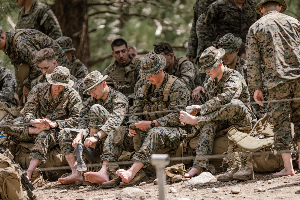 U.S. Marines with 4th Marine Division conduct ropes and rappelling training during Mountain Warfare Training Exercise 4-23