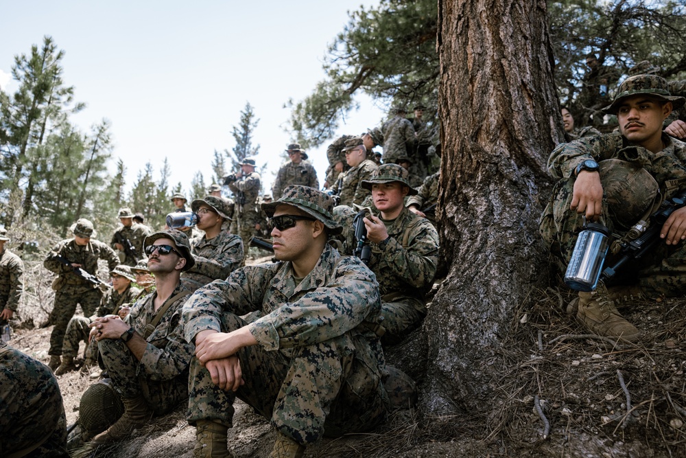 U.S. Marines with 4th Marine Division conduct ropes and rappelling training during Mountain Warfare Training Exercise 4-23