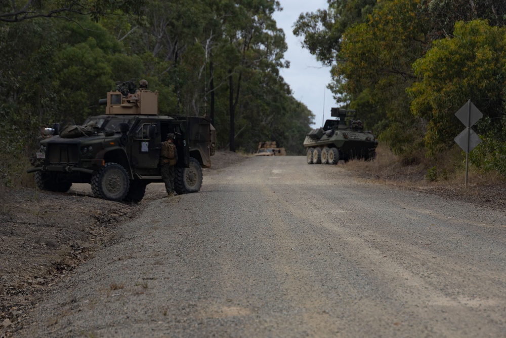 3rd LAR Patrols Shoal Water Bay Training Area