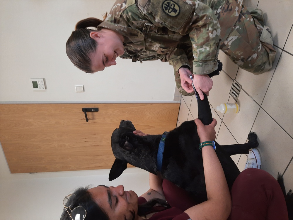 Sgt. Courtney Jimenez, U.S. Army animal care specialist assigned to the Wiesbaden Veterinary Treatment Facility