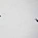 June 2023 UH-60 Black Hawk training at Fort McCoy