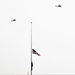 June 2023 UH-60 Black Hawk training at Fort McCoy