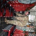 165th Airlift Wing gives incentive flight to nearly 200 Civil Air Patrol cadets during Encampment 2023 in Georgia