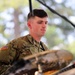 Let’s Dance: 133rd Army National Guard Band plays Lacey in Tune