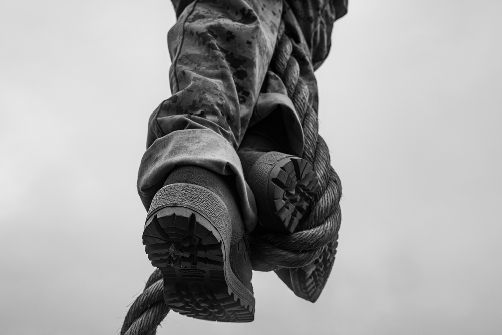 Fox Company Obstacle Course