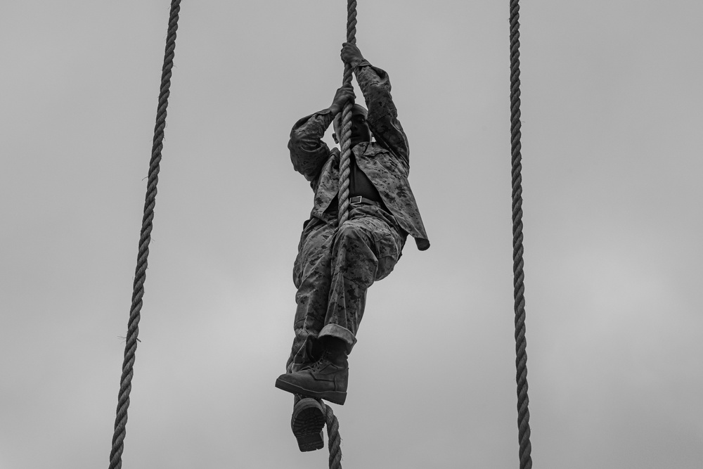 Fox Company Obstacle Course